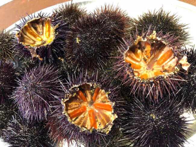 29354715_1966491493380526_3653508482883729381_o